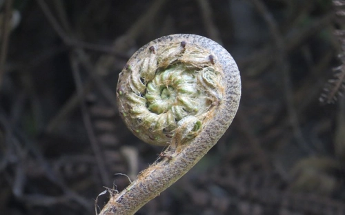 华北大学对解放军的致敬电-春林公文网