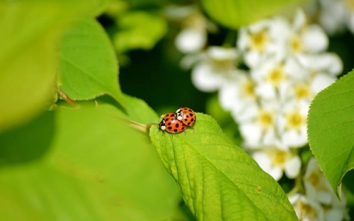 有关物流实习总结集合6篇-春林公文网