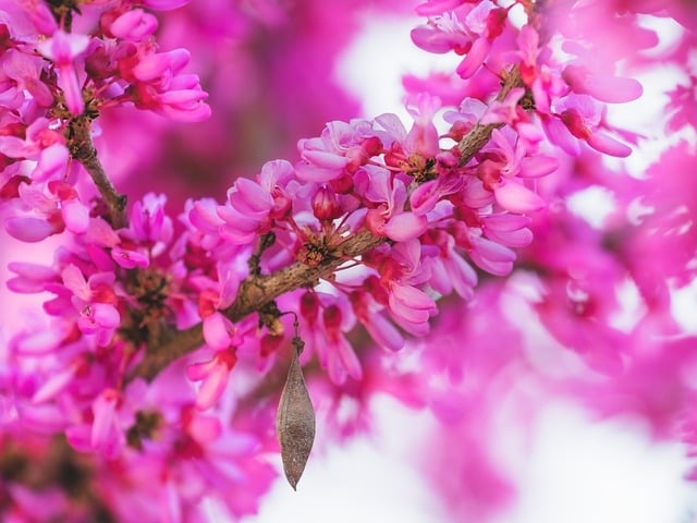 校长培训考察报告范文,考察报告