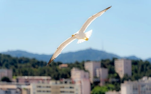 主题班会设计方案-春林公文网