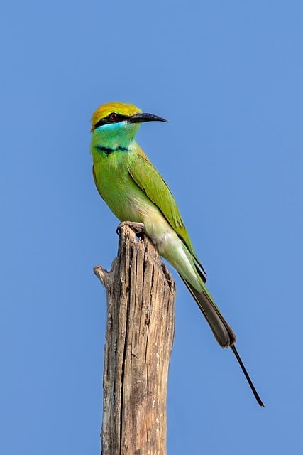 2010虎年新年贺词大全