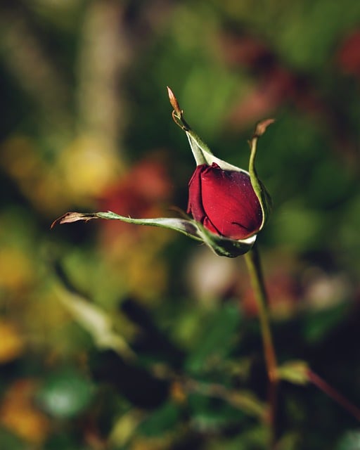 电信局大客户部经理述职报告