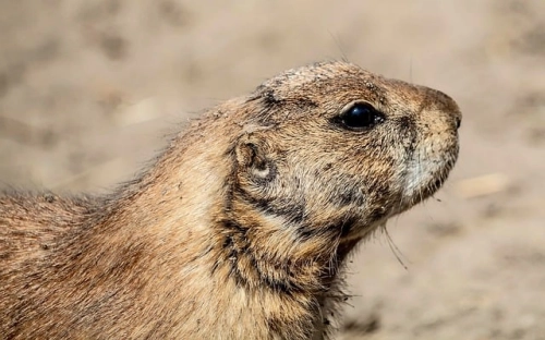 中专自我总结合集8篇-春林公文网