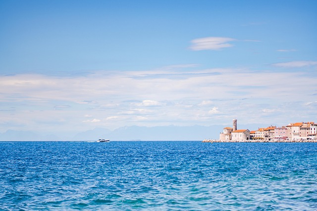 落实全面从严治党主体责任清单2021最新