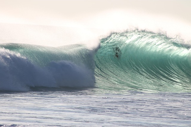 感恩节的祝福贺词