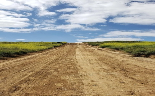 上半年工作总结-春林公文网