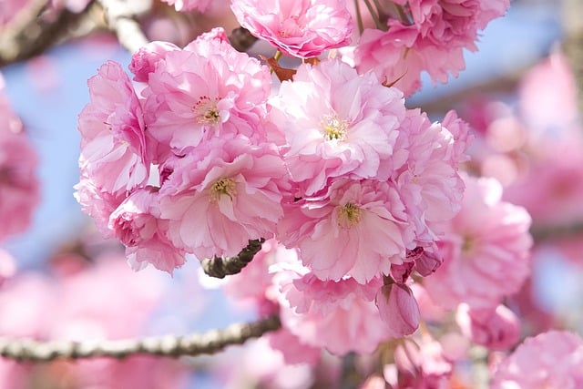 如何应对白领的十大职业病