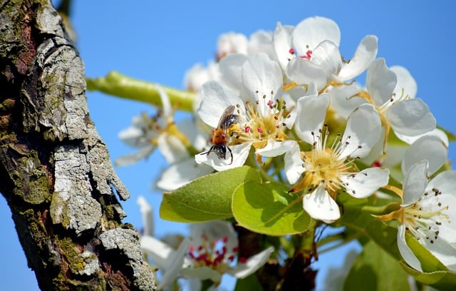 保护环境随手可做的事