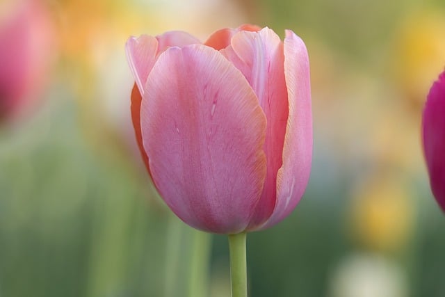 国庆节网友联谊会主持词