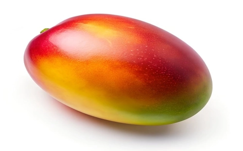 电厂入党申请书2022最新版 电厂入党申请书范文大全-春林公文网