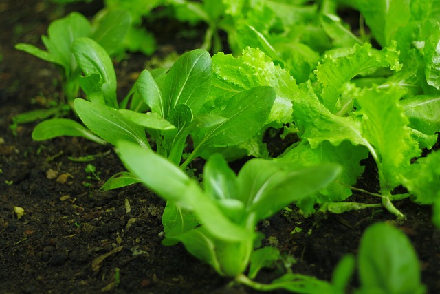 黔东南州传统村落保护发展情况报告