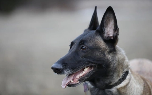 二年级小学生的暑假计划表-春林公文网