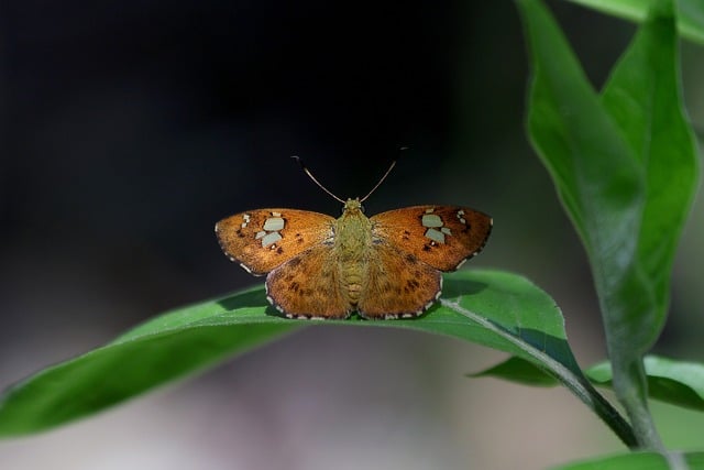 海口市灵山中学师德师风教育活动整改措施