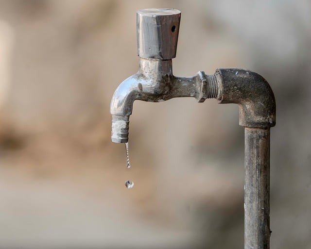 农民外出务工情况调查报告精选5篇2021