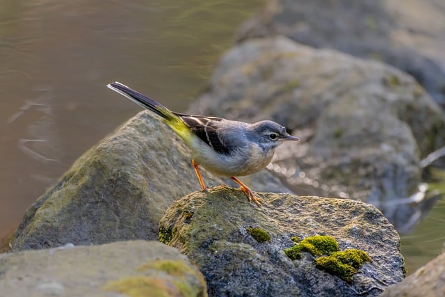 方案策划锦集8篇