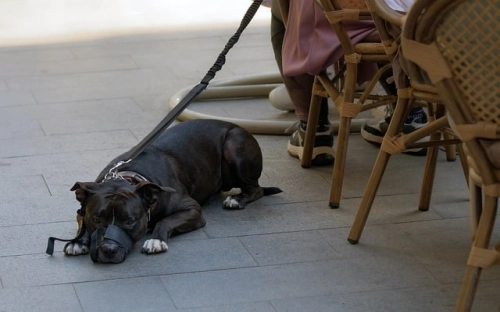 2016学校德育工作计划最新范本荐读-春林公文网