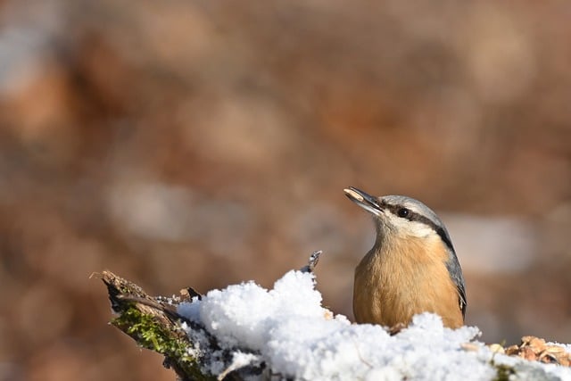 学生调查报告汇编五篇