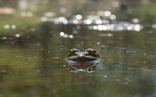 初中班主任工作计划-春林公文网