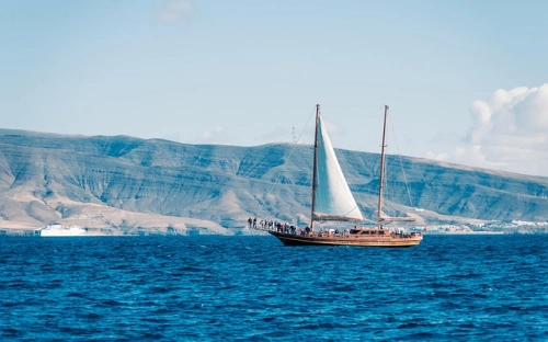 党支部建设工作总结-春林公文网