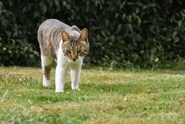 2021年落实中央八项规定精神及实施细则自查报告2篇