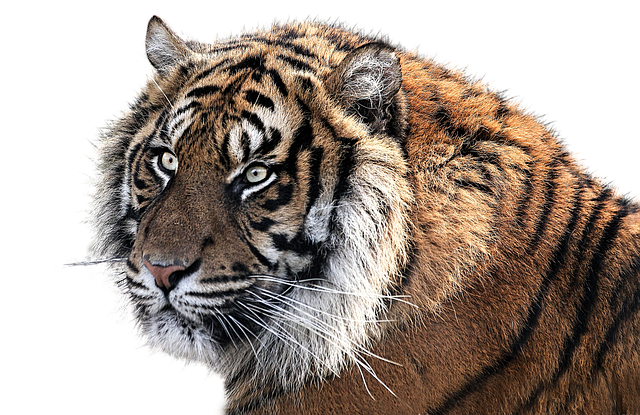 最新经济开发区产业状况调查报告