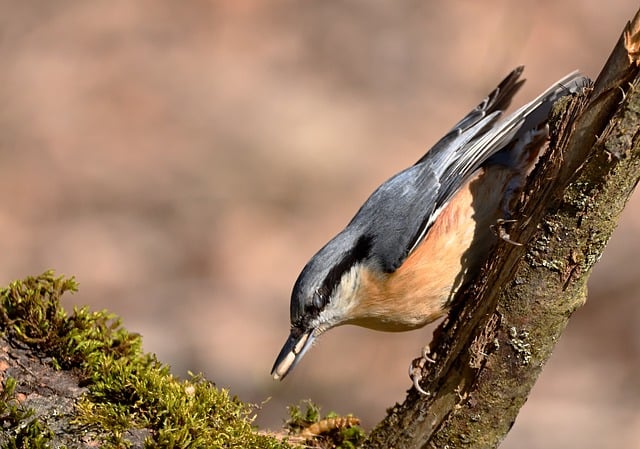 公路局“六五”世界环境日活动总结