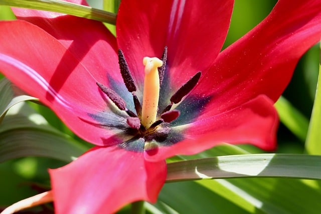 五四红旗团支部申报材料范文