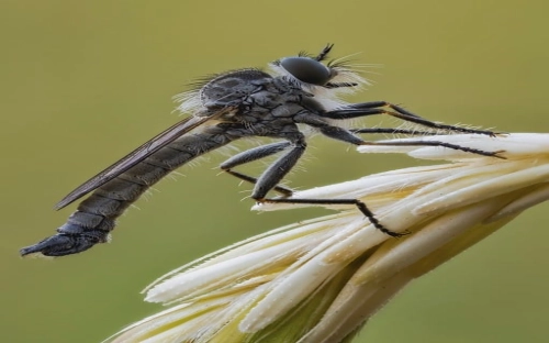 “医院人事科计划”医院工作计划-春林公文网