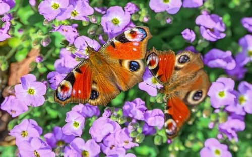 毕业生医院实习报告-春林公文网