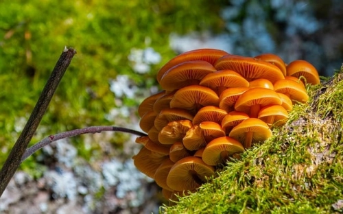 小学科学教师述职报告范文-春林公文网