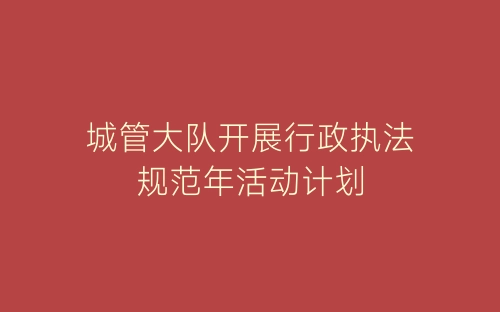 城管大队开展行政执法规范年活动计划-春林公文网