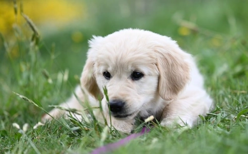 大学金工实习报告-春林公文网