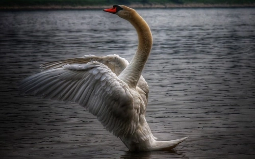 医疗保险局2007年上半年工作总结及下半年工作计划-春林公文网