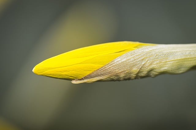 最新公司规章制度模板