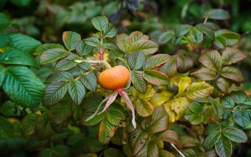 退休干部悼词-春林公文网