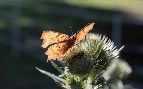感动中国十大人物颁奖词和事迹2021简短-春林公文网