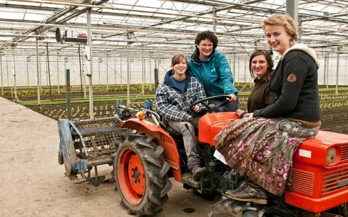 2012年共青团XXX市教育局委员会工作计划-春林公文网