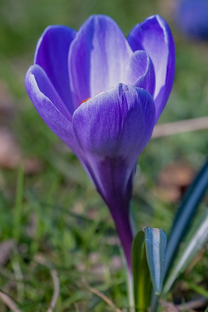 农产品加工与销售企业宣传标语