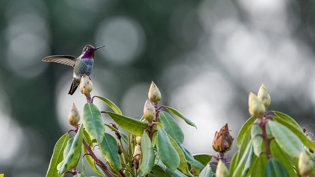 城乡结合部土地市场管理调研报告