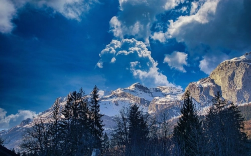 2009-2010学年度德育工作总结-春林公文网