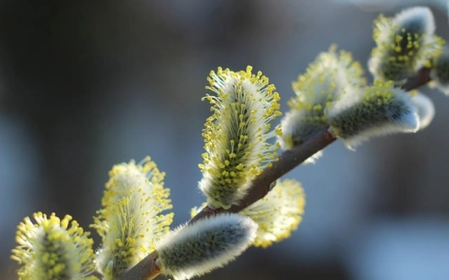 统战部部长述职述廉报告-春林公文网