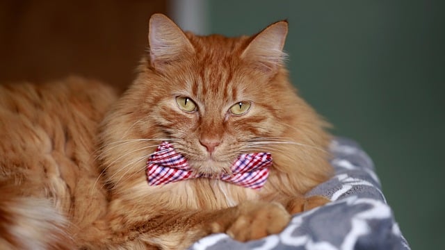 激励高考横幅标语大全