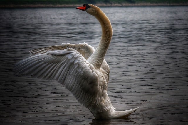 小学班主任工作计划四篇