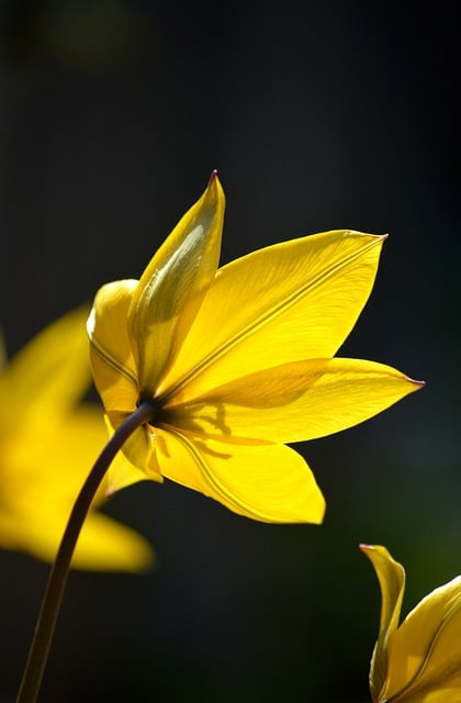 2022大班幼儿毕业典礼活动总结 幼儿园毕业典礼活动方案总结10篇