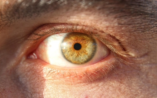 2017冬季安全生产警示宣传标语-春林公文网