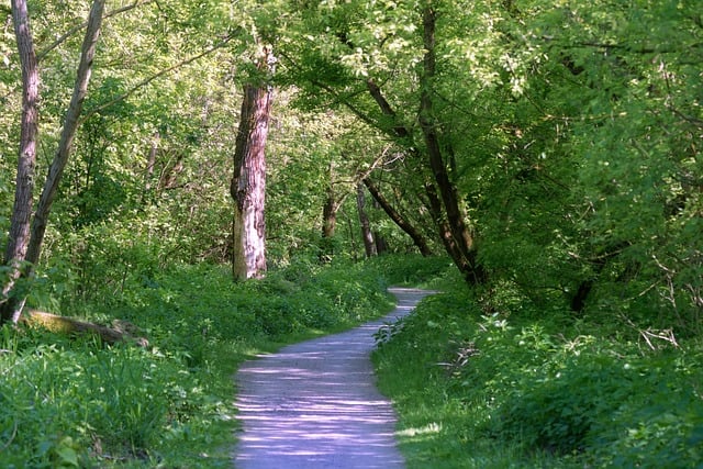 副县长危改讲话