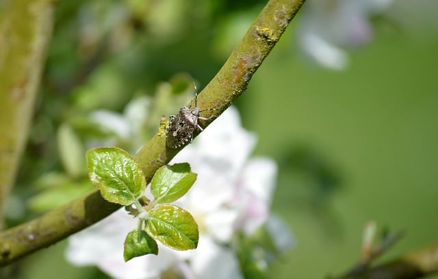 父亲节问候爸爸的祝福语