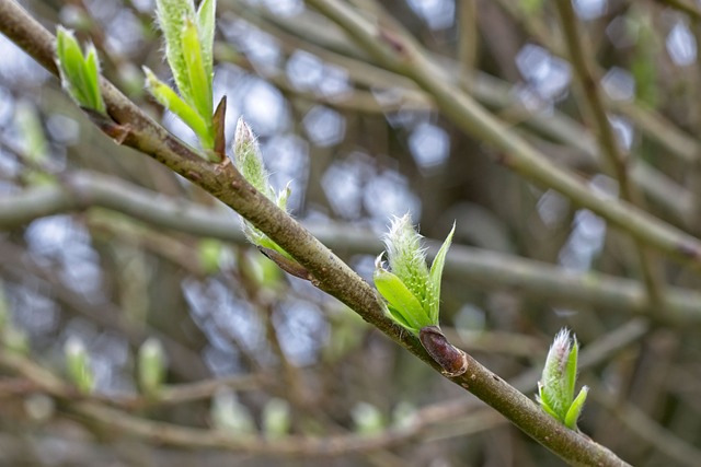 2012年八一建军节祝福短信