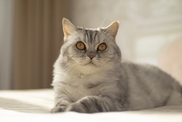 周末祝福语给朋友