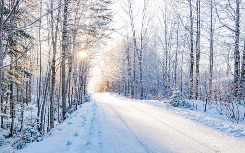 商标异议书-春林公文网